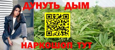 мдпв Гусь-Хрустальный